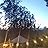 Avatar Zen Yurt